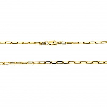 14K Yellow Gold Paperclip Link/22"/2.7mm/8.6gr/CHI87